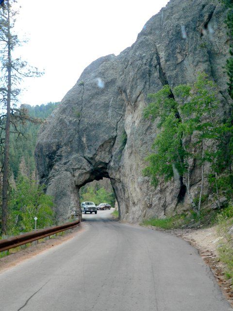 One of 6 tunnels in Custer State Park