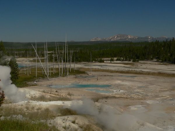 A view of part of the Norris Geyser Basin