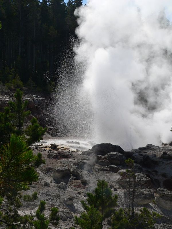 Steamboat giving a little squirt