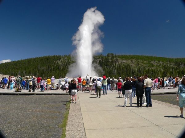 Old Faithful doing its thing
