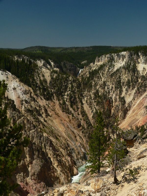 Grand Canyon of the Yellowstone with the upper falls just barely visible