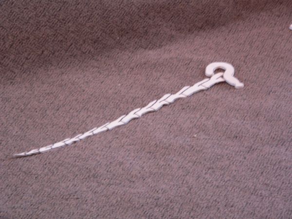 Tail bone with question mark attached