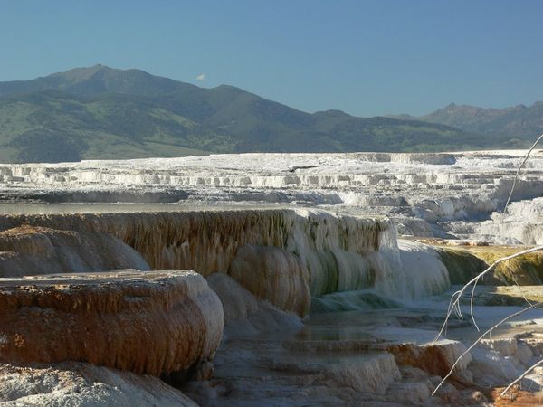 Where Canary Spring spilled over. The white in the background is older mineral deposits (dry)