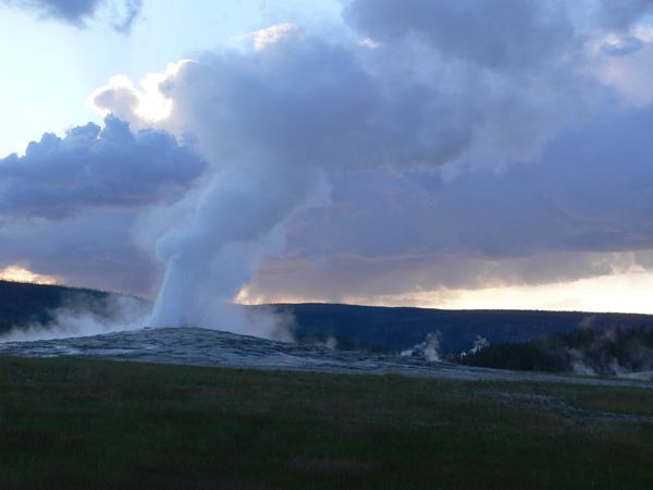 Old Faithful erupting and steam in the distance from other geyser pools