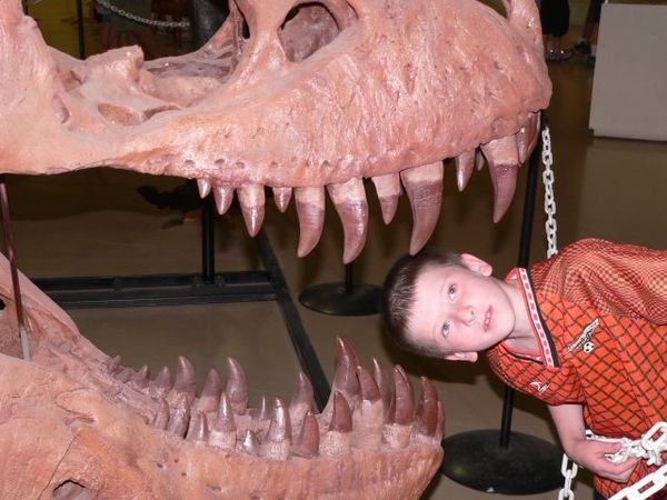 T-rex and Ward. Oh yeah, Ward is on the right.