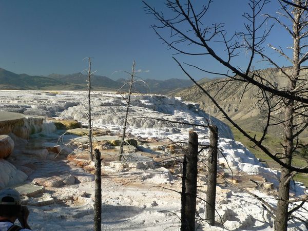 This better illustrates the vast amount of mineral deposits. The edge of Canary Spring is on the left.